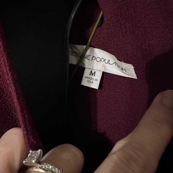 Dress the population Alicia Fit and Flare dress - Picture 4 of 5